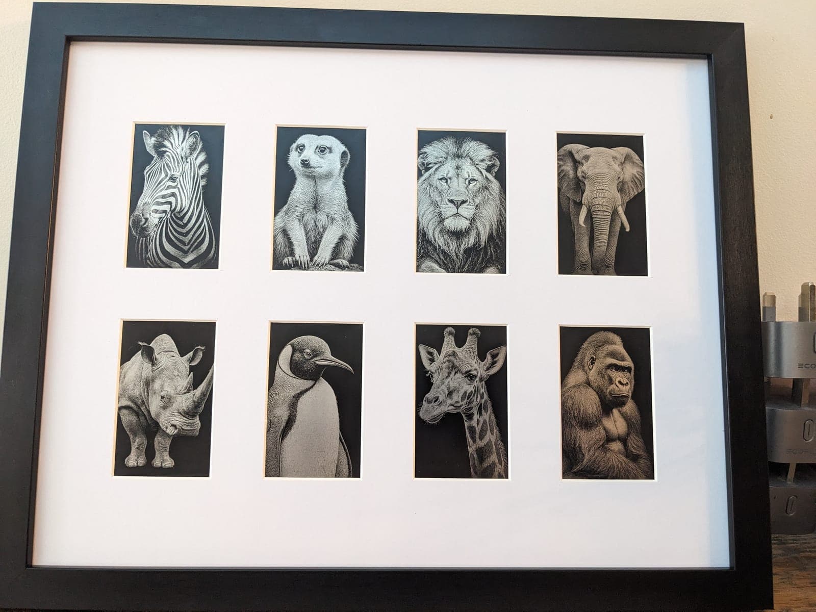 Eight small safari animal engravings in one frame: zebra, meerkat, lion, elephant, rhino, penguin, giraffe and gorilla